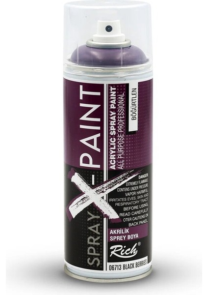 Art-X Spray-X Sprey Boya 400 Ml - 6713 Böğürtlen