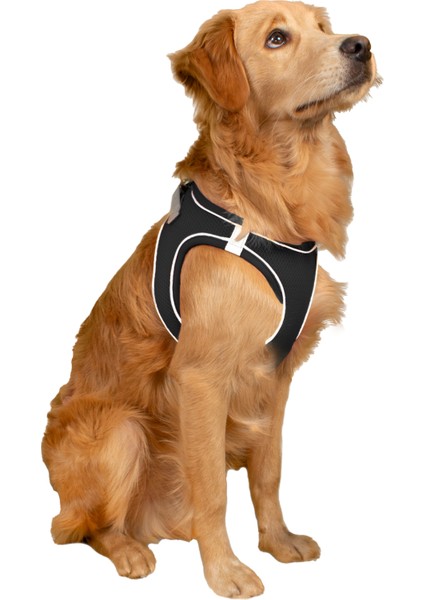 Air Mesh Kedi Köpek Göğüs Tasması Çift Reflektörlü, Terletmeyen Saks Mavisi / Blue modelleri