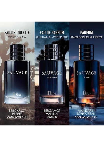 Sauvage Dio 100ML Erkprfm