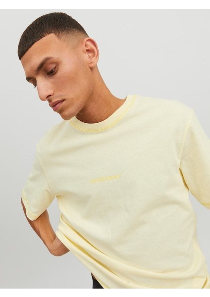 Jorfaded Erkek Bisiklet Yaka Tişört Sarı 12234809 Xxl - Sarı fırsatları