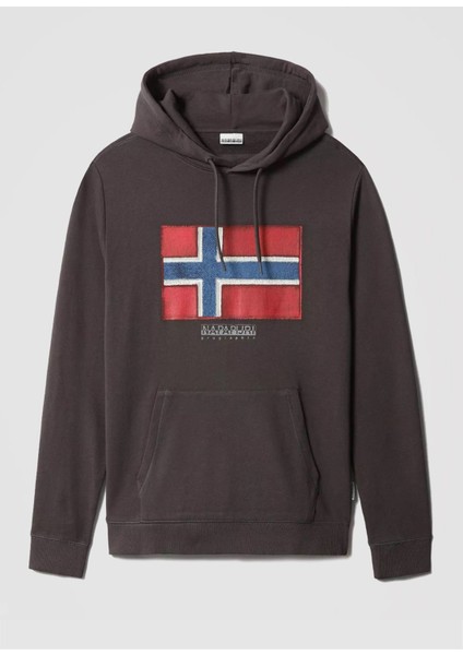 Erkek Kapüşonlu Sweatshirt NP0A4F9Q U006995