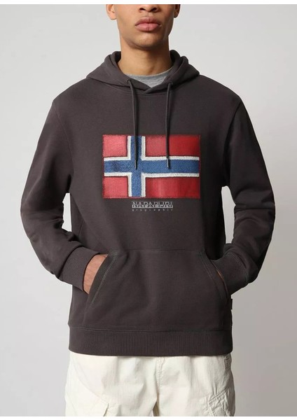 Erkek Kapüşonlu Sweatshirt NP0A4F9Q U006995