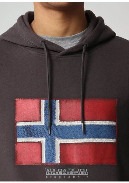 Erkek Kapüşonlu Sweatshirt NP0A4F9Q U006995