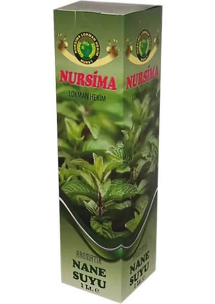 Aromatik Nane Suyu 1 Lt