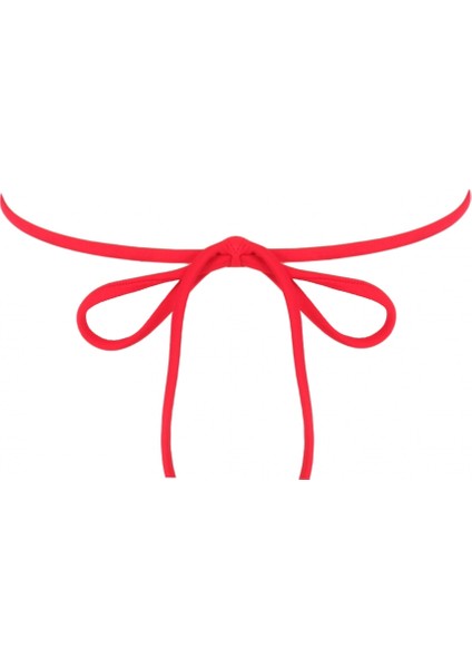 Bikini Üstü