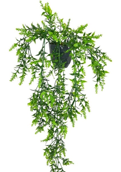 Yapay Çiçek Siyah Saksıda Sarkan TY60 Yeşil Bitki Yapay Sarmaşık 60CM