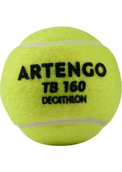 Artengo Tenis Topu - 3 Adet - Sarı - TB160