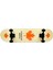 Can Ithalat Canadian Maple Profesyonel Kaykay 2
