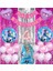 Frozen Elsa 4 Yaş Balon Seti Karlar Ülkesi Konsept Helyum Balon Set Frozen Elsa Doğum Günü Set 1