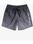 Warped Logo 17 M Jamv Erkek Volley Short EQYJV04000 1