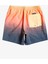 Warped Logo 17 M Jamv Erkek Volley Short EQYJV04000 2