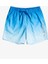 Warped Logo 17 M Jamv Erkek Volley Short EQYJV04000 1