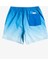 Warped Logo 17 M Jamv Erkek Volley Short EQYJV04000 2
