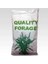 Hibrit Sorgum Sudan Otu 25KG Qualıty Forage 1