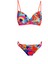 Bikini 1