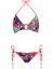 Bikini 1