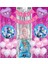 Frozen Elsa 3 Yaş Balon Seti Karlar Ülkesi Konsept Helyum Balon Set Frozen Elsa Doğum Günü Set 1