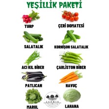 Çermik Fidancılık 10 Çeşit Karışık Tohum Paketi 3