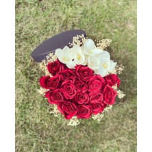 Z&B Flowers İsteme Çiçeği Silindir Kutuda Kırmızı Gül Kız İsteme Çiçeği Sevgiliye Hediye Söz Çiçeği Doğum Günü