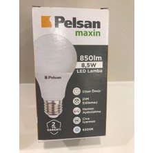 Pelsan  Maxin 8.5 W E27 Duylu LED Ampül