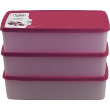 Hobby Life Alaska Nofrost Saklama Kabı 2 Litre 3'Lü Fuşya