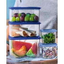 Tupperware Modüler Düzenleme Kabı 2.53 Lt Buzdolabı Saklama Kabı Mavi Hsgl