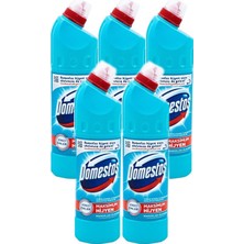 Domestos Çamaşır Suyu 750 ml Okaliptüs Ferahlığı (750 ml x 5 Adet)