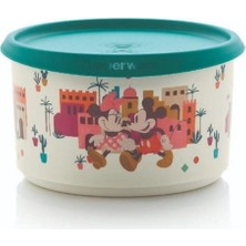 Tupperware Tek Parmak Saklana Kabı 1.4 Litre Kurabiye Kutusu Hsgl