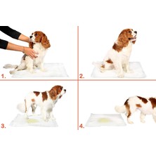 Gizzodo Yıkanabilir Köpek Çiş Pedi - 100 x 100 cm 5li Paket