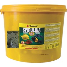 Tropical Super Spirulina %36 Forte Pul Yem 250 gr