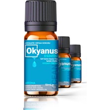 Evove Okyanus & Deniz Havası Oda Kokusu %100 Saf & Doğal 3'lü Set 3X10ML Esansiyel Uçucu Yağ Ortam Kokusu