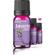 Evove Lavanta Oda Kokusu Yoğun ve Kalıcı %100 Natural Saf & Doğal 3'lü Set 3X10ML Aromatik Yağ Ortam Koku