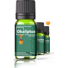 Evove Rahatlatıcı Oda Kokusu Okaliptus %100 Saf & Doğal 3'lü Set 3X10ML Aromatik Esansiyel Uçucu Yağ