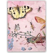 Rugs Modern mira 1236  Kelebekler Doğa Figürlü   Baskılı Dokuma Taban Halı