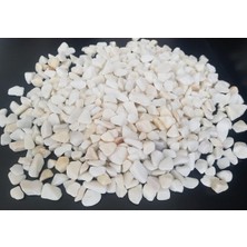 EC Shop Beyaz Taş 3 kg 1-2 cm Beyaz Dolomit Taş Dere Taşı Çakıl Taşı Bahçe Süs Taşı Akvaryum Teraryum Taşı