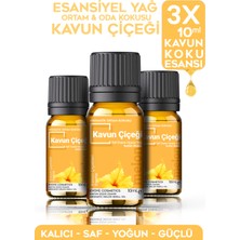 Evove Kavun Çiçeği Esansiyel Yağ Oda Kokusu 3 Adet 10ML Set Aromatik Buhardanlık Difüzör Uçucu Yağ