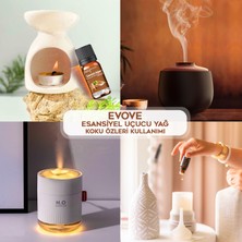 Evove Kavun Çiçeği Esansiyel Yağ Oda Kokusu 3 Adet 10ML Set Aromatik Buhardanlık Difüzör Uçucu Yağ