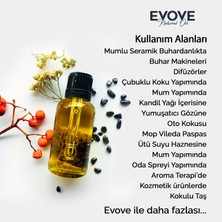 Evove Kavun Çiçeği Esansiyel Yağ Oda Kokusu 3 Adet 10ML Set Aromatik Buhardanlık Difüzör Uçucu Yağ