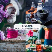 Evove Kavun Çiçeği Esansiyel Yağ Oda Kokusu 3 Adet 10ML Set Aromatik Buhardanlık Difüzör Uçucu Yağ