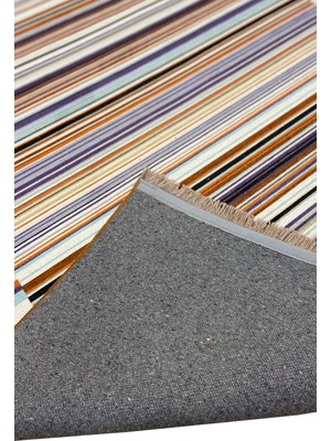 Rugs Modern Mira Geometric Line 2082 Multy Çizgi Desen Halı