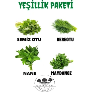 Çermik Fidancılık Tohum Paketi Semizotu Dere Otu Nane maydanoz 40 gr