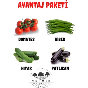 Çermik Fidancılık Tohum Paketi Domates Carliston Biber Hıyar Patlıcan 40 gr