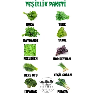 Çermik Fidancılık 10 Çeşit Karışık Tohum Paketi 1