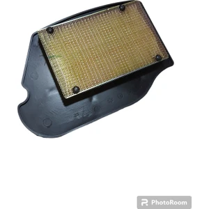 Hava Filtre Elemanı Tvs Wego 110 Orijinal