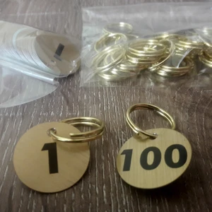 Duvar Hediyelik 100 Adet Gold Vestiyer Anahtarlığı