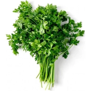 Yüzyıl Tohumculuk Maydonoz Tohumu