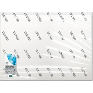 Winsor & Newton Sulu Boya Kağıdı Soğuk Baskı 300GR 56X76CM Paketli 1 Adet