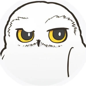 Sihir Dükkanı Hedwig Bardak Altlığı