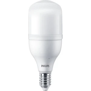 Trueforce Core LED Ampul 30W E27 6500K