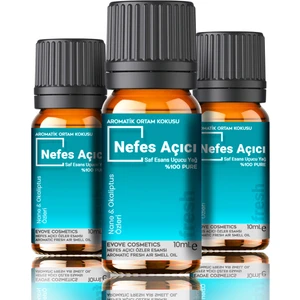 Fresh Oda Kokusu 3 Adet 10ML Set Aromatik Buhardanlık Difüzör Uçucu Esansiyel Yağ